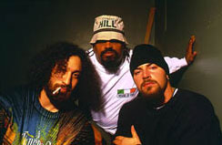 Cypress Hill :  